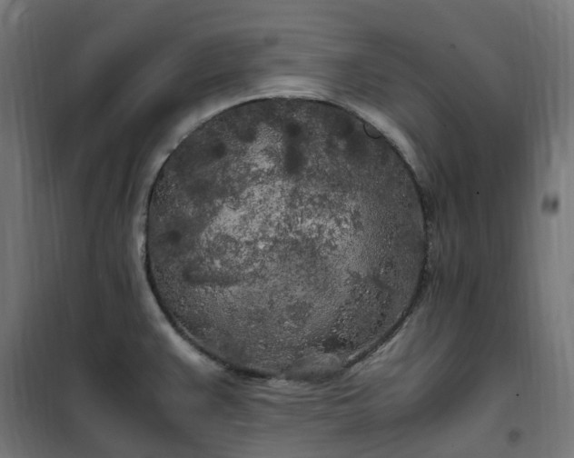 X0000100491383200806201643