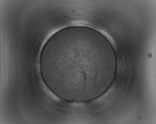 X0000100491384200806201643