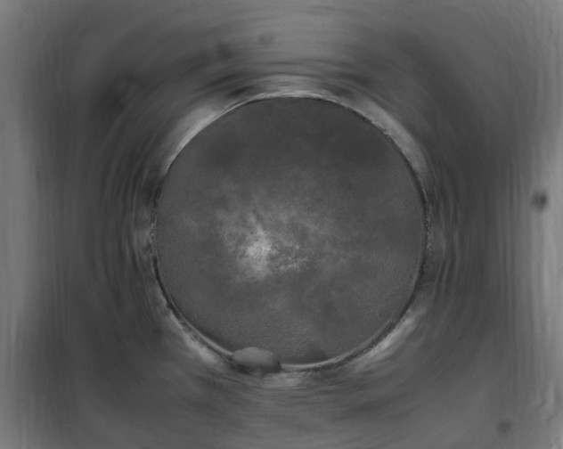 X0000100491385200806201643