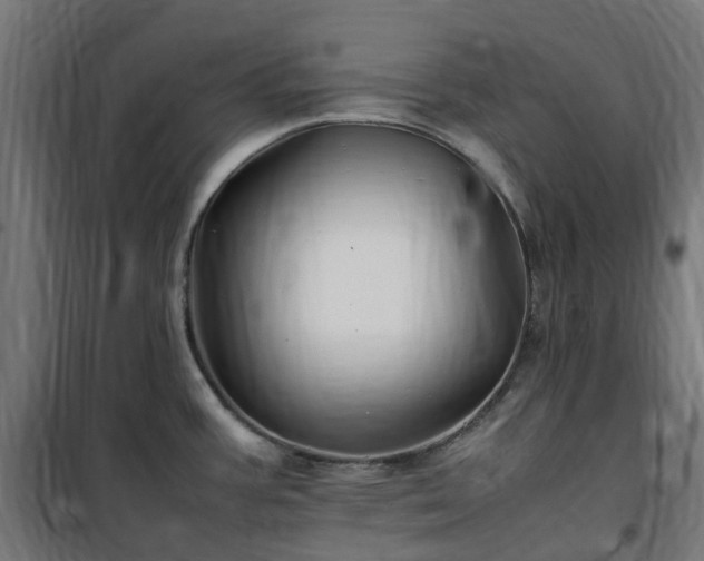 X0000100491387200806201643