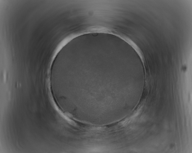 X0000100491389200806201643