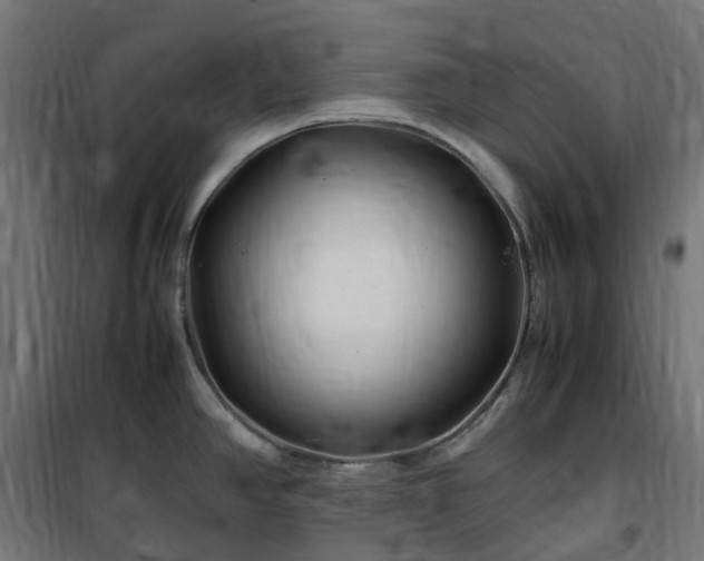 X0000100491390200806201643