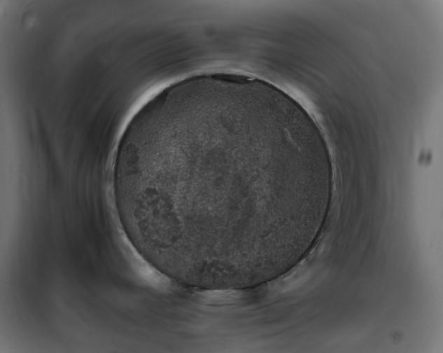 X0000100491392200806201643