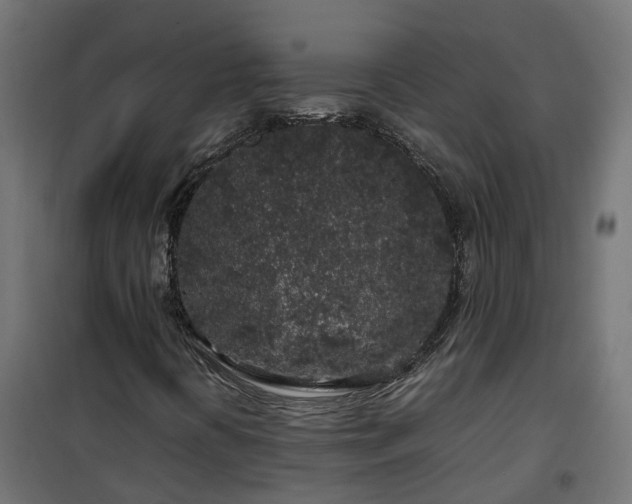 X0000100491394200806201642