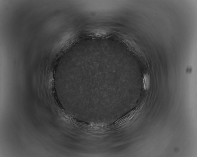 X0000100491395200806201642