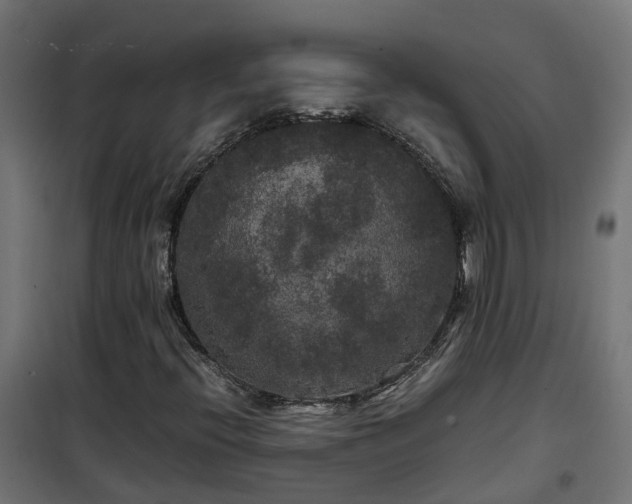 X0000100491396200806201642