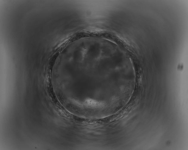 X0000100491397200806201642