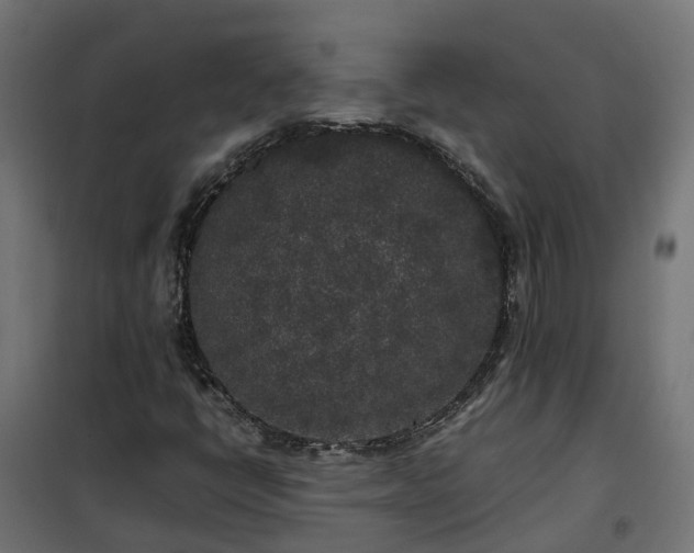 X0000100491398200806201642