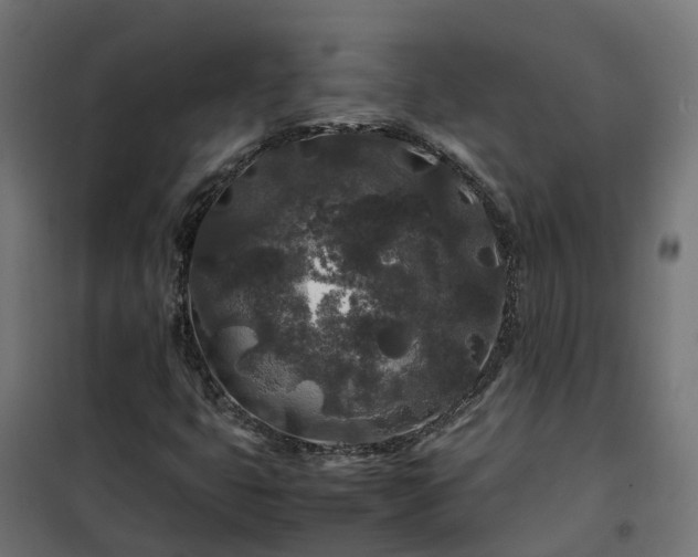 X0000100491399200806201642