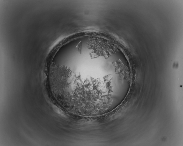 X0000100491400200806201642