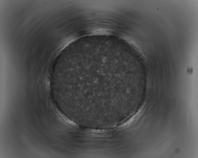 X0000100491401200806201642