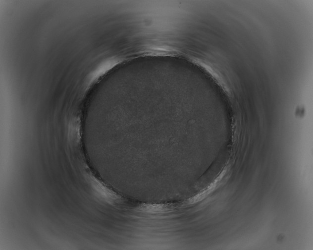 X0000100491402200806201642