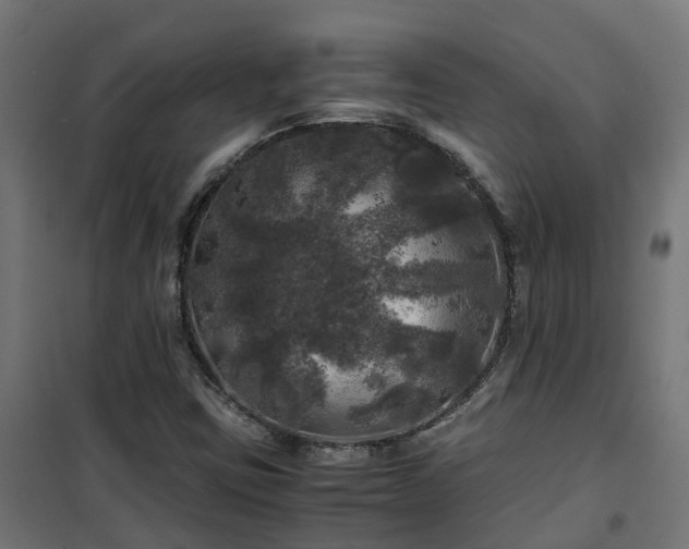 X0000100491403200806201642