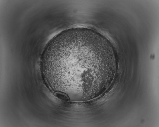 X0000100491404200806201642