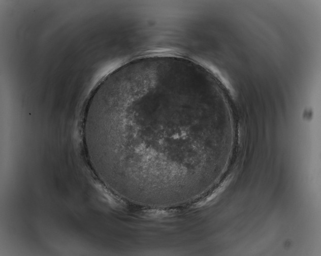 X0000100491405200806201642