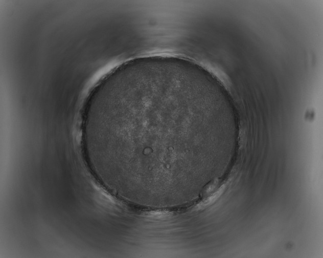 X0000100491406200806201642