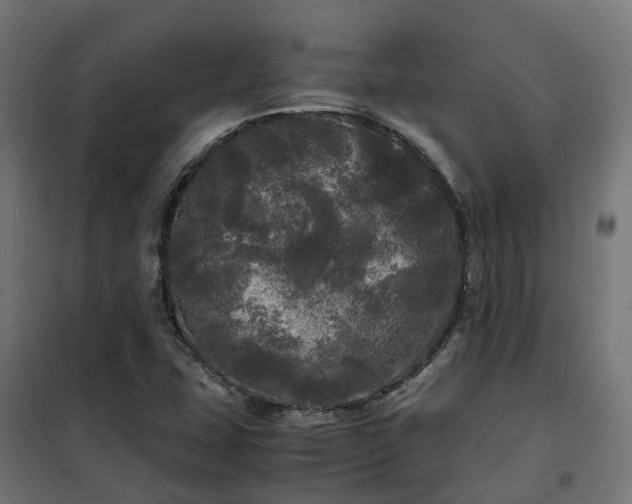 X0000100491407200806201642