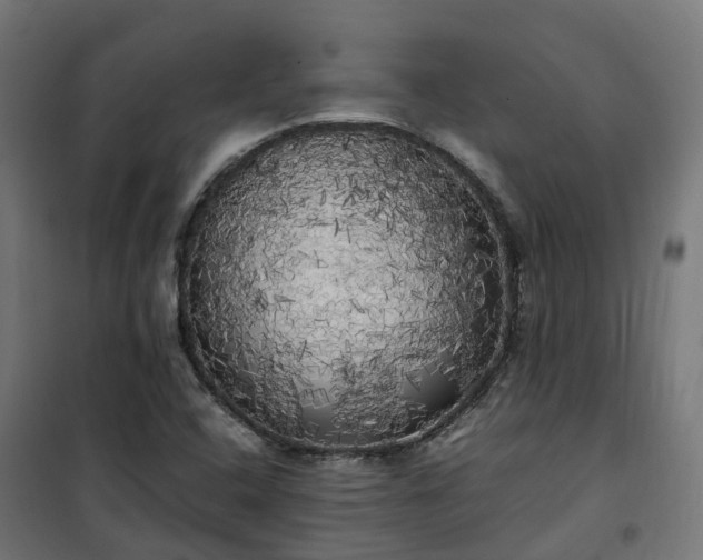 X0000100491408200806201642