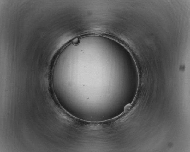 X0000100491410200806201642