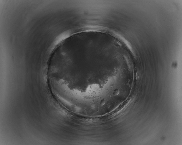 X0000100491411200806201642
