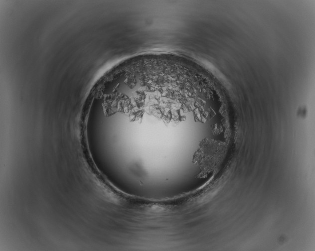 X0000100491412200806201642