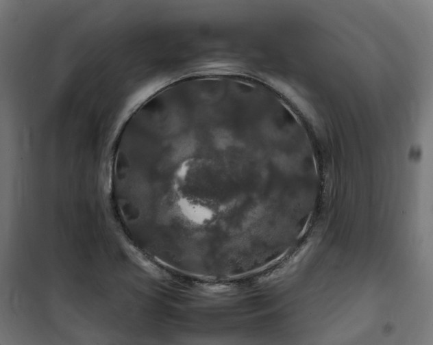 X0000100491413200806201642
