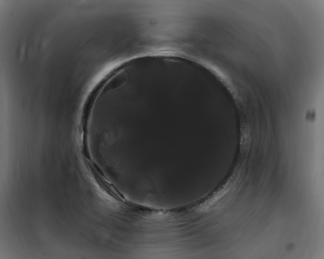 X0000100491414200806201642