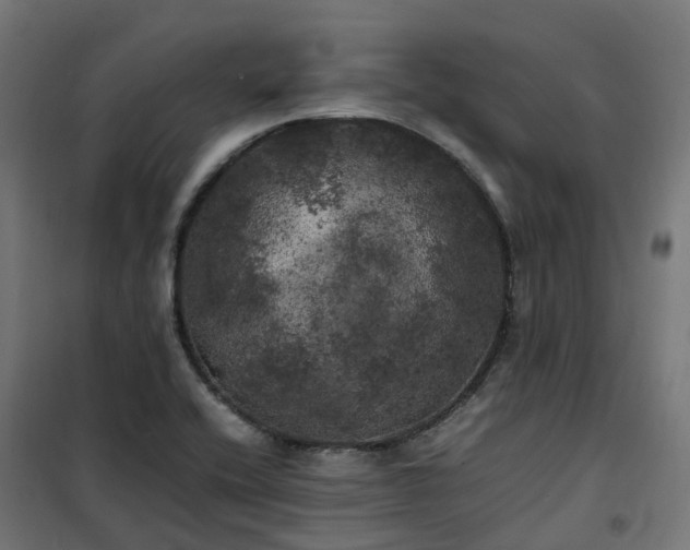 X0000100491416200806201642
