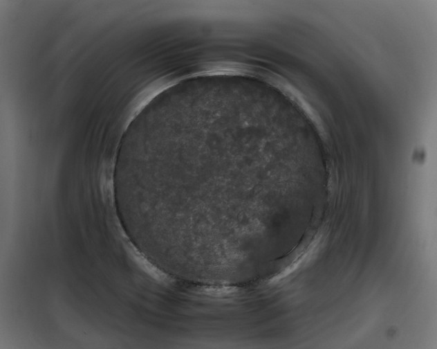X0000100491417200806201642