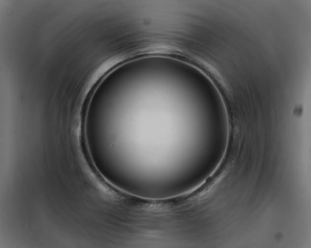 X0000100491418200806201642