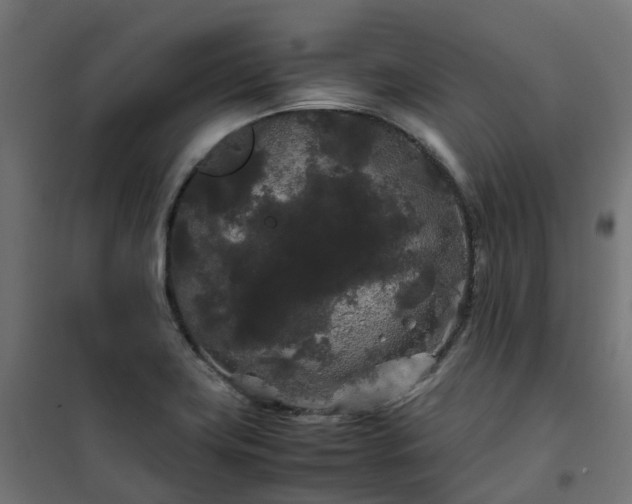 X0000100491419200806201642