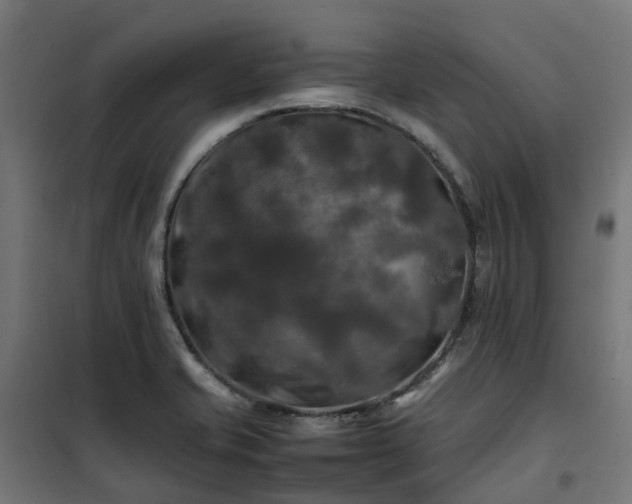 X0000100491421200806201642