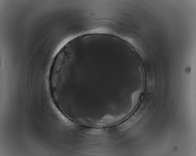 X0000100491422200806201642