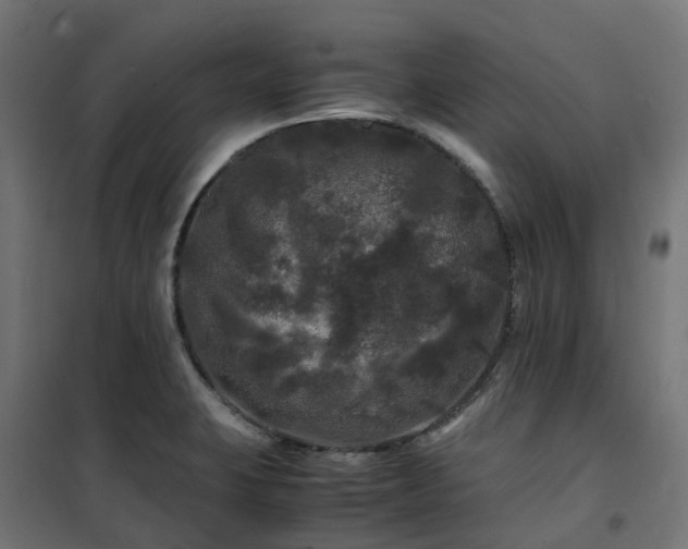 X0000100491423200806201642