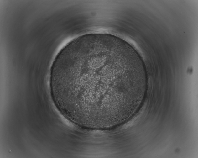 X0000100491424200806201642