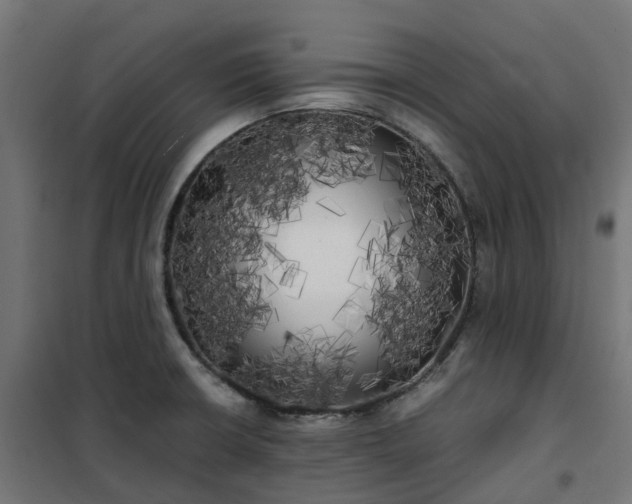 X0000100491426200806201642