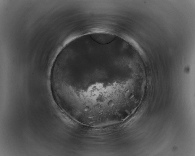 X0000100491427200806201642