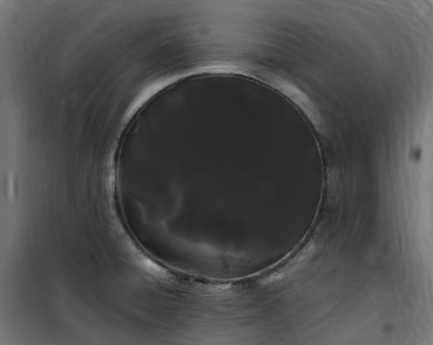 X0000100491428200806201643