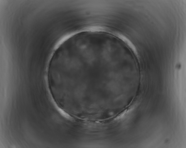 X0000100491429200806201643