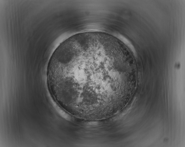 X0000100491431200806201643