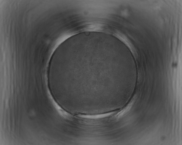X0000100491434200806201643