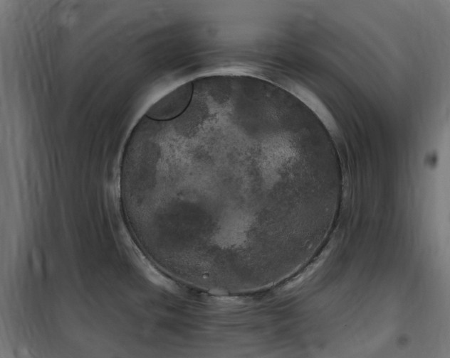 X0000100491436200806201643