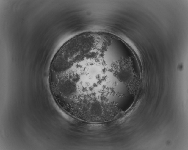 X0000100491437200806201643