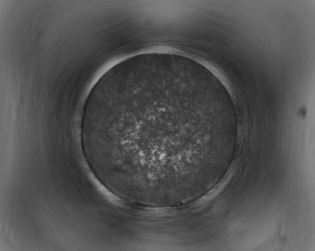 X0000100491438200806201643
