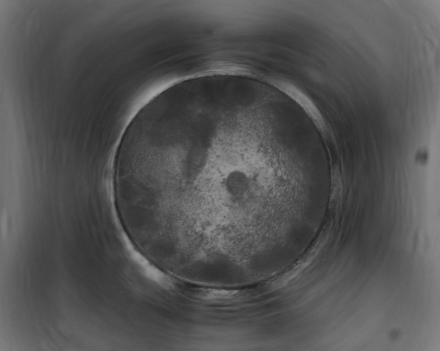 X0000100491439200806201643