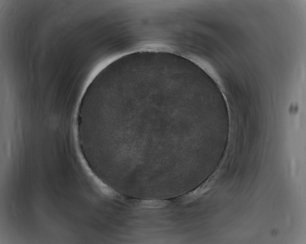 X0000100491440200806201643