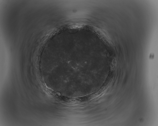 X0000100491441200806201642