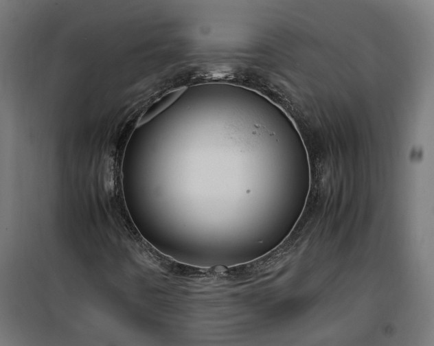 X0000100491442200806201642