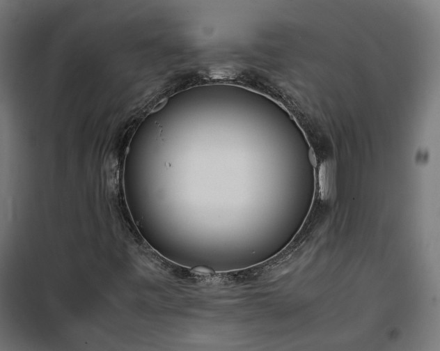 X0000100491443200806201642