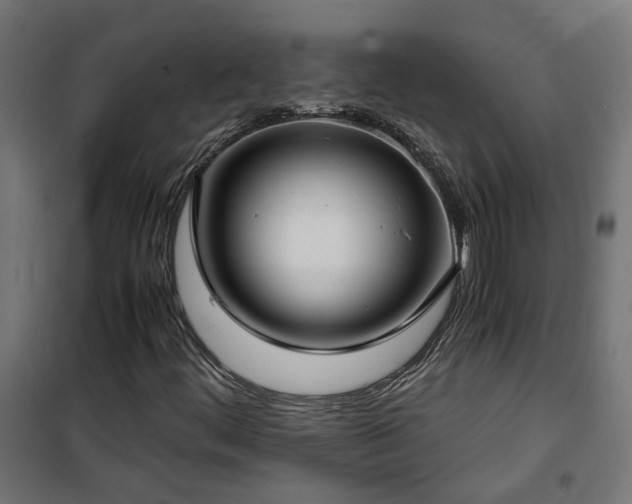 X0000100491444200806201642